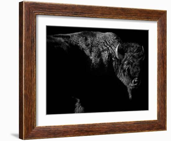 Enduring-Julie Chapman-Framed Art Print