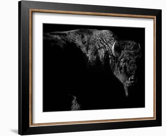 Enduring-Julie Chapman-Framed Art Print