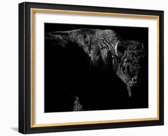 Enduring-Julie Chapman-Framed Art Print