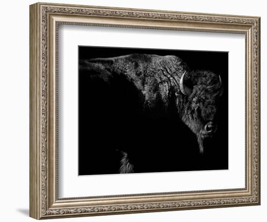 Enduring-Julie Chapman-Framed Art Print