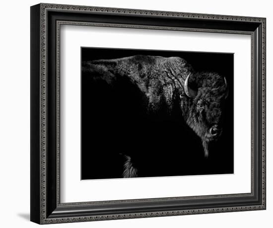 Enduring-Julie Chapman-Framed Art Print