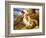 Endymion 'Ah! Well-A-Day, Why Should Our Young Endymion Pine Away'-Keats-Briton Rivière-Framed Giclee Print