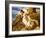 Endymion 'Ah! Well-A-Day, Why Should Our Young Endymion Pine Away'-Keats-Briton Rivière-Framed Giclee Print