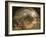 Endymion, c.1869-George Frederick Watts-Framed Giclee Print