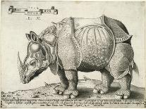 Rhinoceros, 1548-Enea Vico-Giclee Print