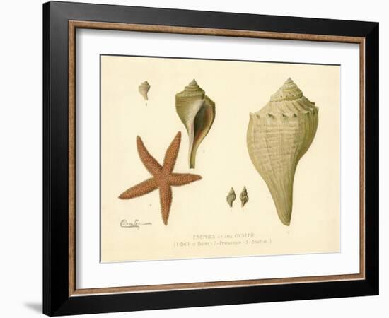 Enemies of the Oyster-null-Framed Giclee Print
