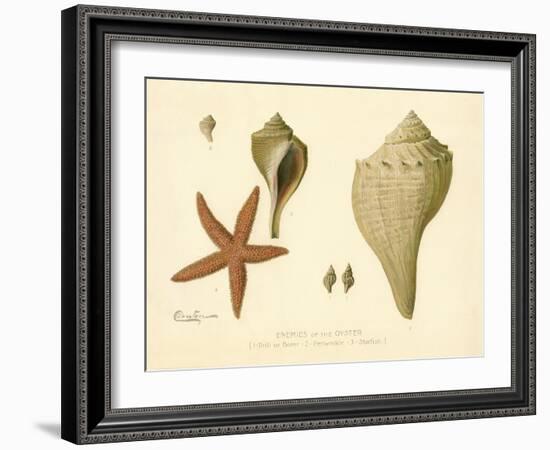 Enemies of the Oyster-null-Framed Giclee Print