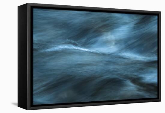 Energized-Anthony Paladino-Framed Premier Image Canvas