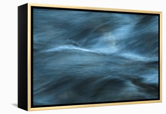 Energized-Anthony Paladino-Framed Premier Image Canvas