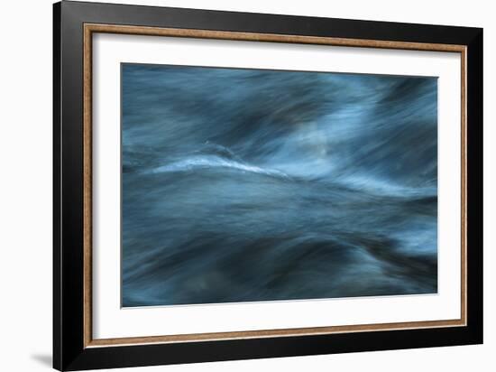 Energized-Anthony Paladino-Framed Giclee Print