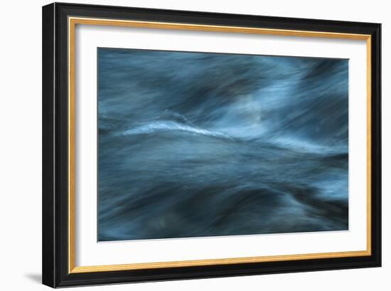 Energized-Anthony Paladino-Framed Giclee Print