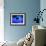 Energy-releasing Black Hole-null-Framed Photographic Print displayed on a wall