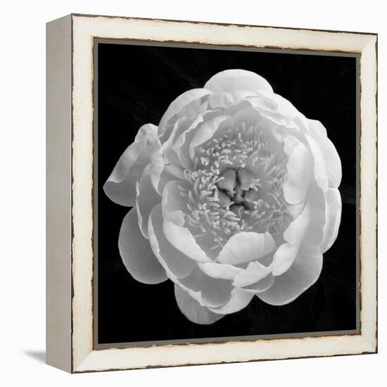 Enfolding Treasures, 2007-Hiroyuki Arakawa-Framed Premier Image Canvas