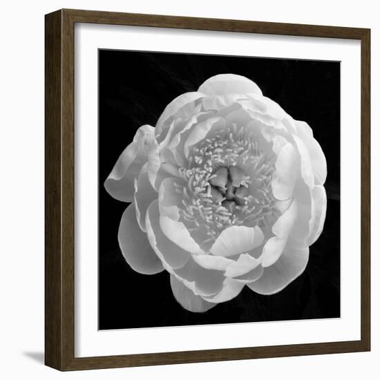 Enfolding Treasures, 2007-Hiroyuki Arakawa-Framed Photographic Print