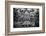 Engine Controls Aboard the Uss Midway in San Diego, Ca-Andrew Shoemaker-Framed Photographic Print