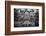 Engine Controls Aboard the Uss Midway in San Diego, Ca-Andrew Shoemaker-Framed Photographic Print