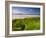 England, Cornwall, Polzeath Beach, UK-Alan Copson-Framed Photographic Print