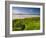 England, Cornwall, Polzeath Beach, UK-Alan Copson-Framed Photographic Print