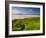 England, Cornwall, Polzeath Beach, UK-Alan Copson-Framed Photographic Print