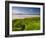 England, Cornwall, Polzeath Beach, UK-Alan Copson-Framed Photographic Print