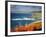 England, Cornwall, Port Isaac, UK-Alan Copson-Framed Photographic Print