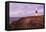 England, Dorset, Weymouth, Portland Bill Liighthouse-Steve Vidler-Framed Premier Image Canvas