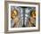 England, Gloucestershire, Gloucester, Gloucester Cathedral-Steve Vidler-Framed Photographic Print