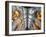 England, Gloucestershire, Gloucester, Gloucester Cathedral-Steve Vidler-Framed Photographic Print