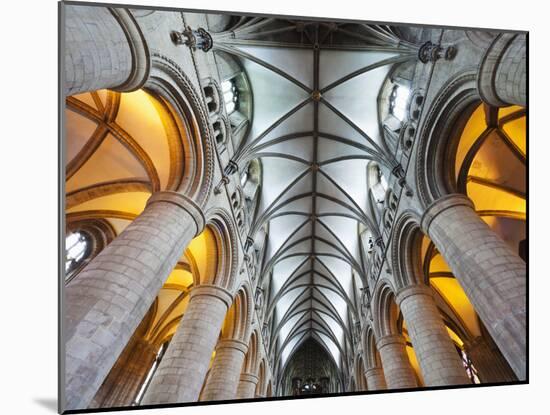 England, Gloucestershire, Gloucester, Gloucester Cathedral-Steve Vidler-Mounted Photographic Print