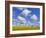 England, Hampshire, Rape Fields and Clouds-Steve Vidler-Framed Photographic Print