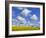 England, Hampshire, Rape Fields and Clouds-Steve Vidler-Framed Photographic Print