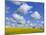 England, Hampshire, Rape Fields and Clouds-Steve Vidler-Mounted Photographic Print