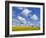 England, Hampshire, Rape Fields and Clouds-Steve Vidler-Framed Photographic Print