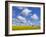 England, Hampshire, Rape Fields and Clouds-Steve Vidler-Framed Photographic Print