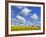 England, Hampshire, Rape Fields and Clouds-Steve Vidler-Framed Photographic Print