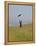 England, Isle of Wight; Boy Flying a Kite on the Downs Near Compton Bay in Southwest of the Island-Will Gray-Framed Premier Image Canvas