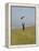 England, Isle of Wight; Boy Flying a Kite on the Downs Near Compton Bay in Southwest of the Island-Will Gray-Framed Premier Image Canvas