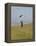 England, Isle of Wight; Boy Flying a Kite on the Downs Near Compton Bay in Southwest of the Island-Will Gray-Framed Premier Image Canvas