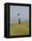 England, Isle of Wight; Boy Flying a Kite on the Downs Near Compton Bay in Southwest of the Island-Will Gray-Framed Premier Image Canvas