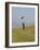 England, Isle of Wight; Boy Flying a Kite on the Downs Near Compton Bay in Southwest of the Island-Will Gray-Framed Photographic Print