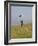 England, Isle of Wight; Boy Flying a Kite on the Downs Near Compton Bay in Southwest of the Island-Will Gray-Framed Photographic Print