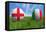 England-Italy-mhristov-Framed Stretched Canvas