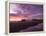 England, Lancashire, Blackpool, Central Pier Sunset-Mark Sykes-Framed Premier Image Canvas