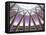 England, London, Kings Cross Train Station-Steve Vidler-Framed Premier Image Canvas