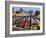 England, London, Little Venice, Canal Boats-Steve Vidler-Framed Photographic Print