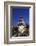 England, London, St.Pauls Cathedral and City Skyline-Steve Vidler-Framed Photographic Print