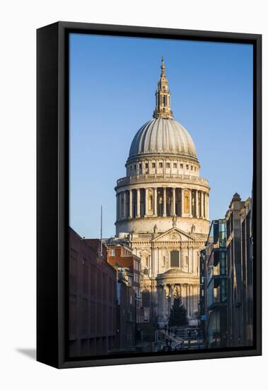 England, London, St. Pauls Cathedral, Dawn-Walter Bibikow-Framed Premier Image Canvas