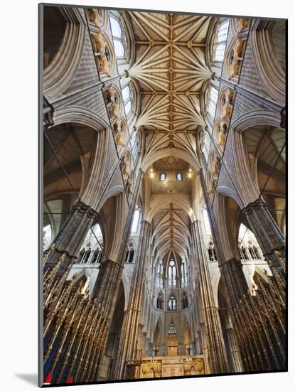 England, London, Westminster, Westminster Abbey, Interior View-Steve Vidler-Mounted Photographic Print