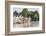 England, Oxfordshire, Henley-on-Thames, Boathouses and Rowers on River Thames-Steve Vidler-Framed Photographic Print