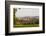 England, Oxfordshire, Oxford, City Skyline-Steve Vidler-Framed Photographic Print